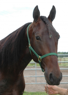 Uncertain When 150806-3